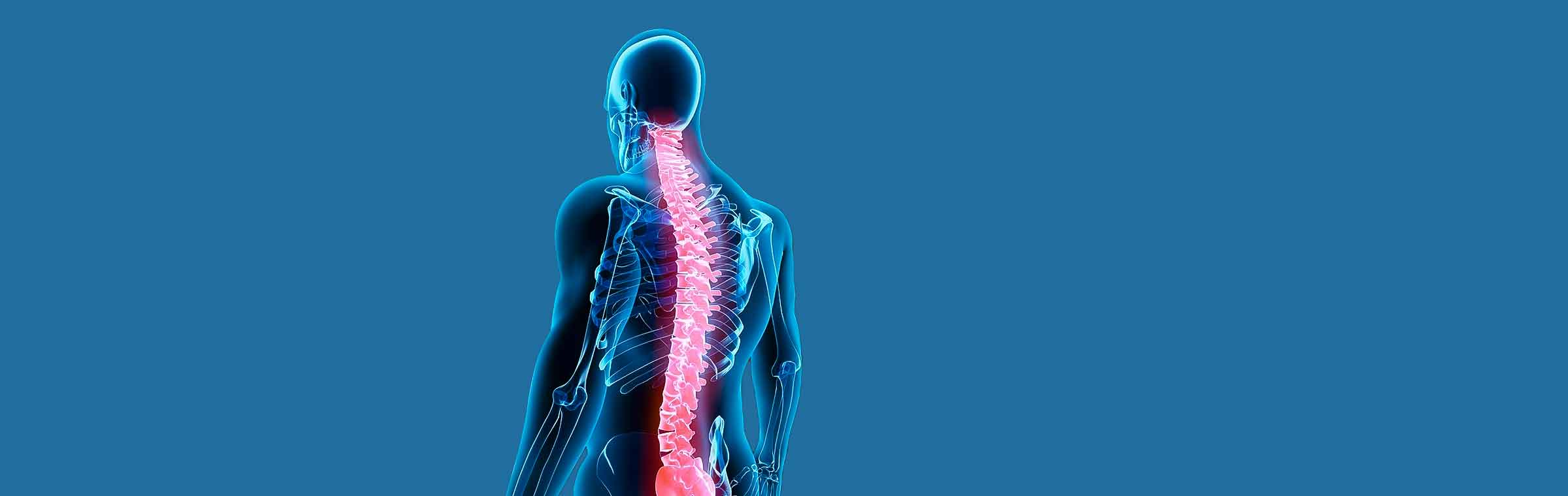 back pain neck pain chiropractor 